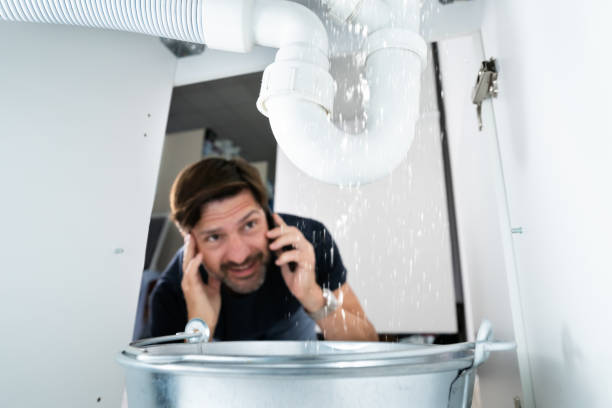 Best Water Leak Repair  in Oak Park Heights, MN